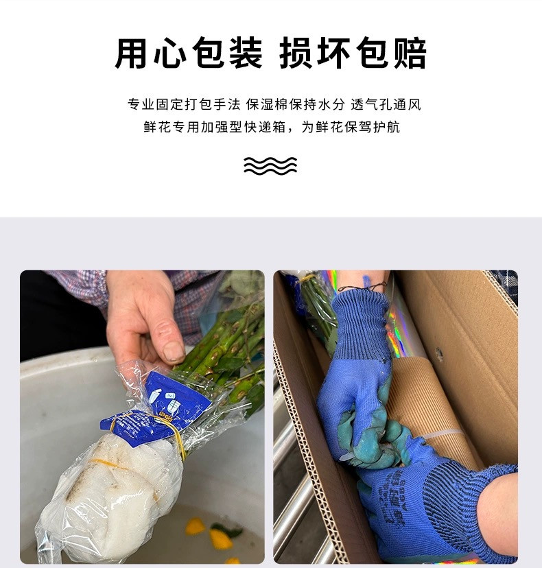 农家自产 云南鲜花玫瑰鲜切花