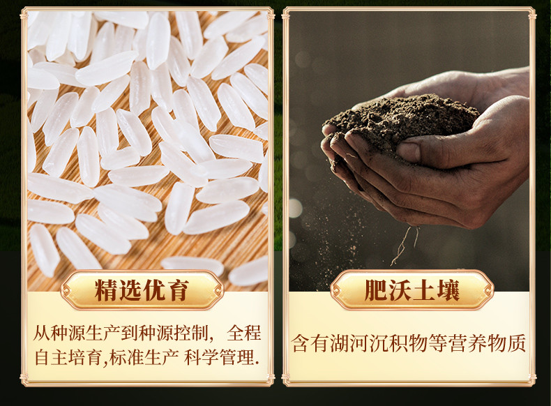 鄱阳湖 丰优国香大米  长粒香米当季新米