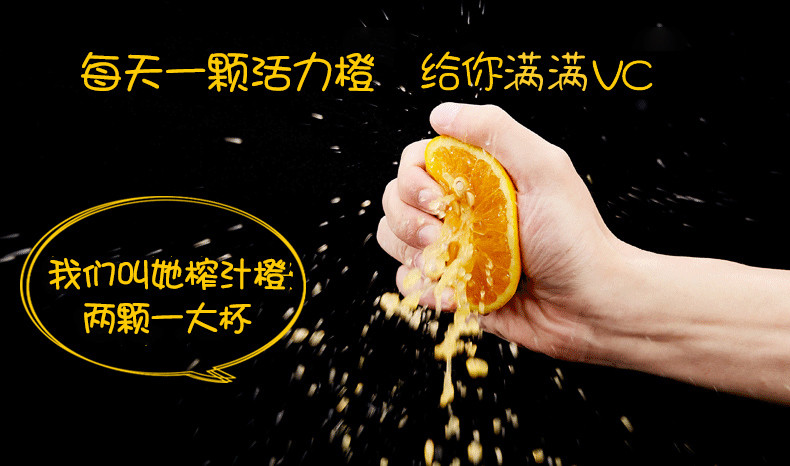 四时秋 湖北宜昌夏橙榨汁橙子10斤大果脐橙现摘现发
