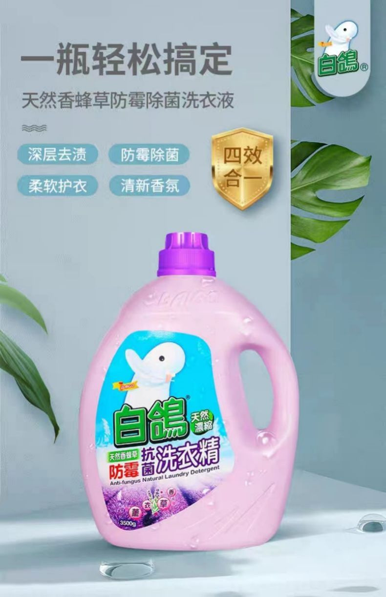 白鸽 台湾进口浓缩型洗衣液3.5kg不含荧光剂 防霉无磷配方强效去污