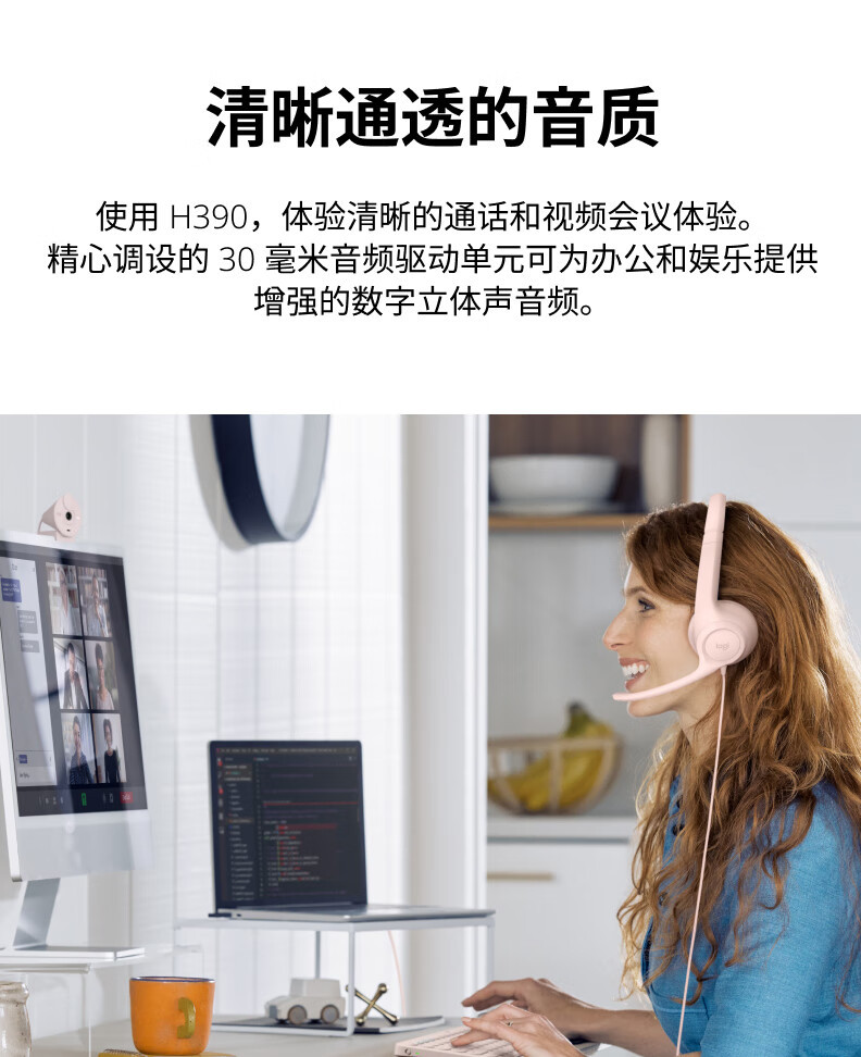 罗技/Logitech 罗技H390 耳机麦克风 默认规格