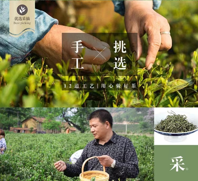 广义 明前口粮茶特级（100g*1）