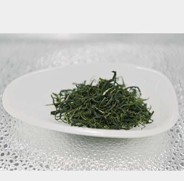 广义 信阳毛尖一级雨前口粮茶(250g*2)