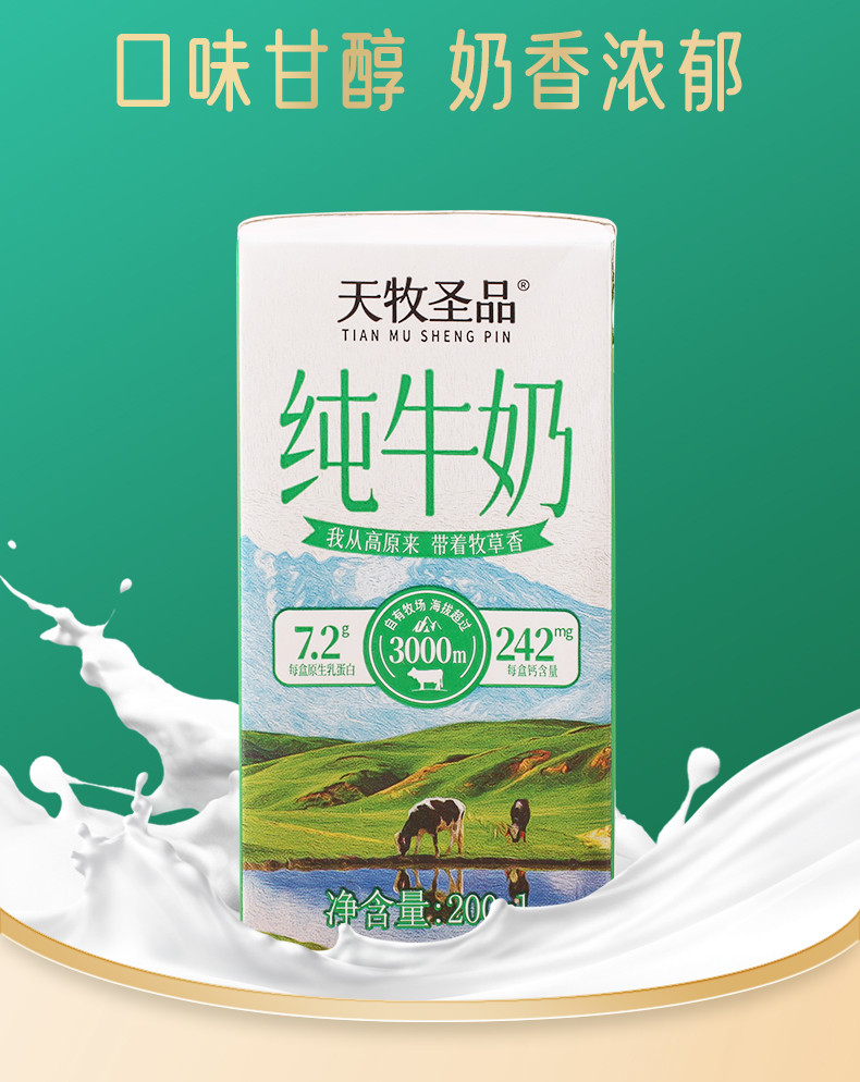  【领劵立减】 天牧圣品 雪域高原3.6g/100ml蛋白全脂高钙纯牛奶