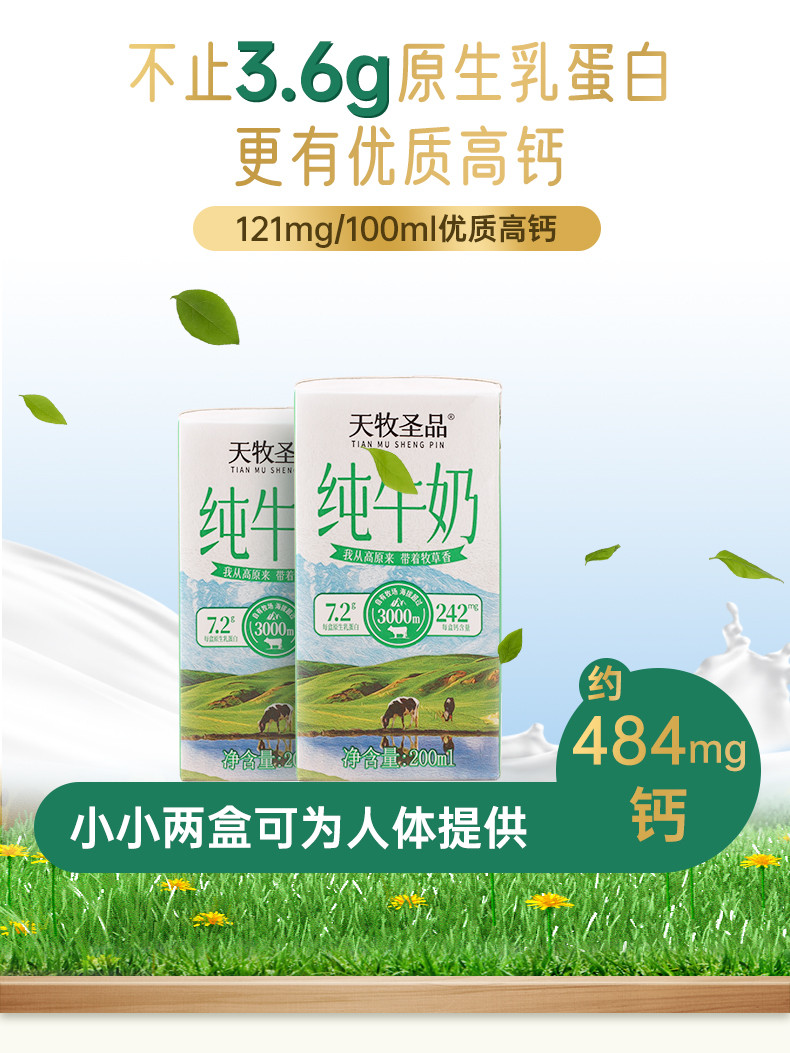  【领劵立减】 天牧圣品 雪域高原3.6g/100ml蛋白全脂高钙纯牛奶