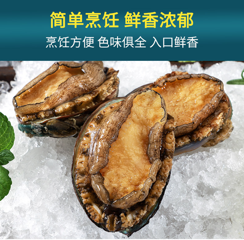  鲍鱼生鲜冷冻食材海鲜水产贝类  品八鲜