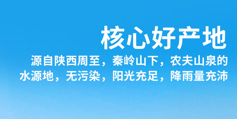  陕西周至翠香猕猴桃纯甜绿心奇异果补充维生素当季水果  邮兔