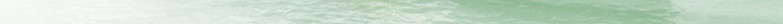 百雀羚/PECHOIN 【领劵立减10元】草本精粹惊喜套装水乳洁面霜四件套补水保湿