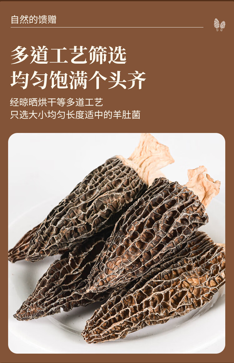   九养芝 羊肚菌干货山珍菌菇煲汤炖汤火锅食材