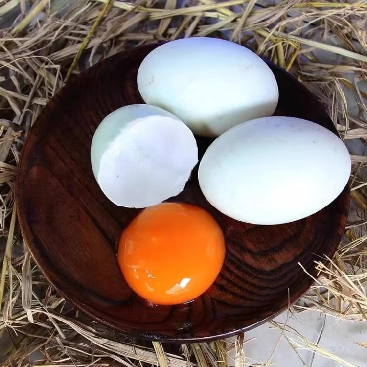  【活动价】 农家散养新鲜鸭蛋现捡现发 邮兔