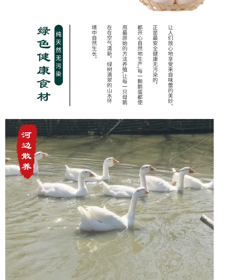  真鹅蛋【6枚券后36.8元】 农家散养新鲜鹅蛋大规格 缘琳山
