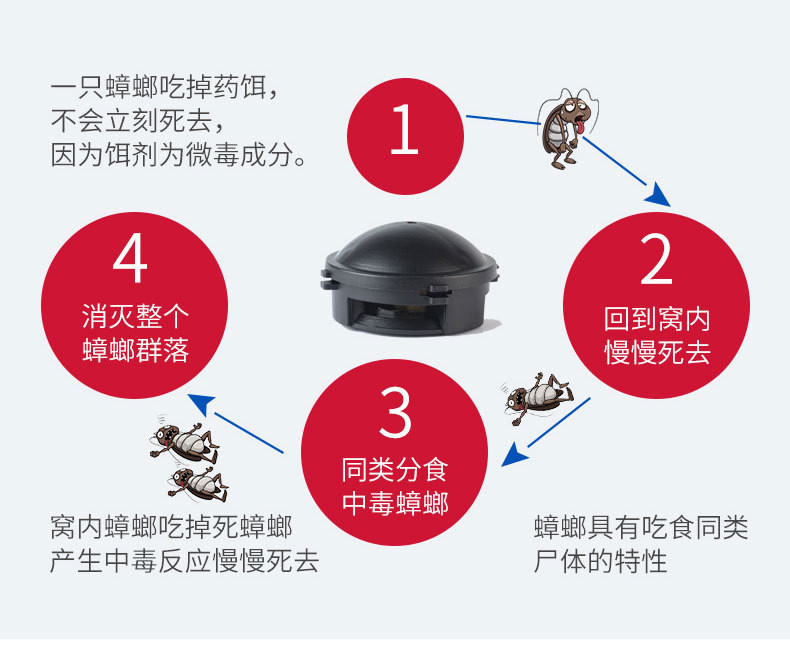  【6枚9.9元】 小黑屋蟑螂药杀蟑胶饵小黑帽蟑螂药 金泰康