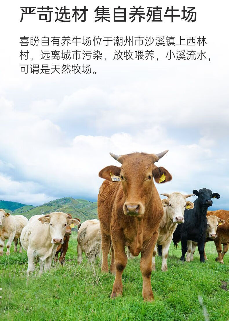   喜盼 潮汕特产手打牛肉丸牛筋丸火锅食材