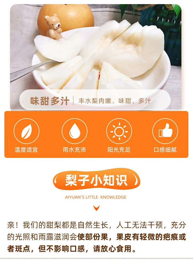  山东丰水梨新鲜水果  邮兔