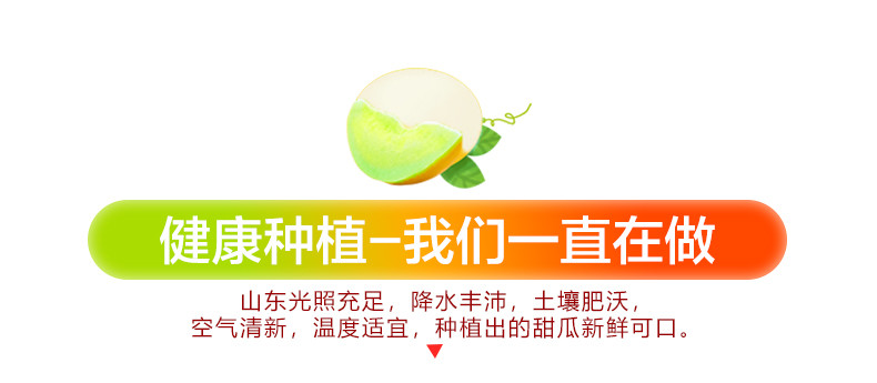  邮乡甜 【劵后34.8元】玉菇甜瓜新鲜水果冰淇淋脆甜哈密甜瓜