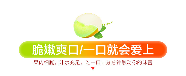  邮乡甜 【劵后34.8元】玉菇甜瓜新鲜水果冰淇淋脆甜哈密甜瓜