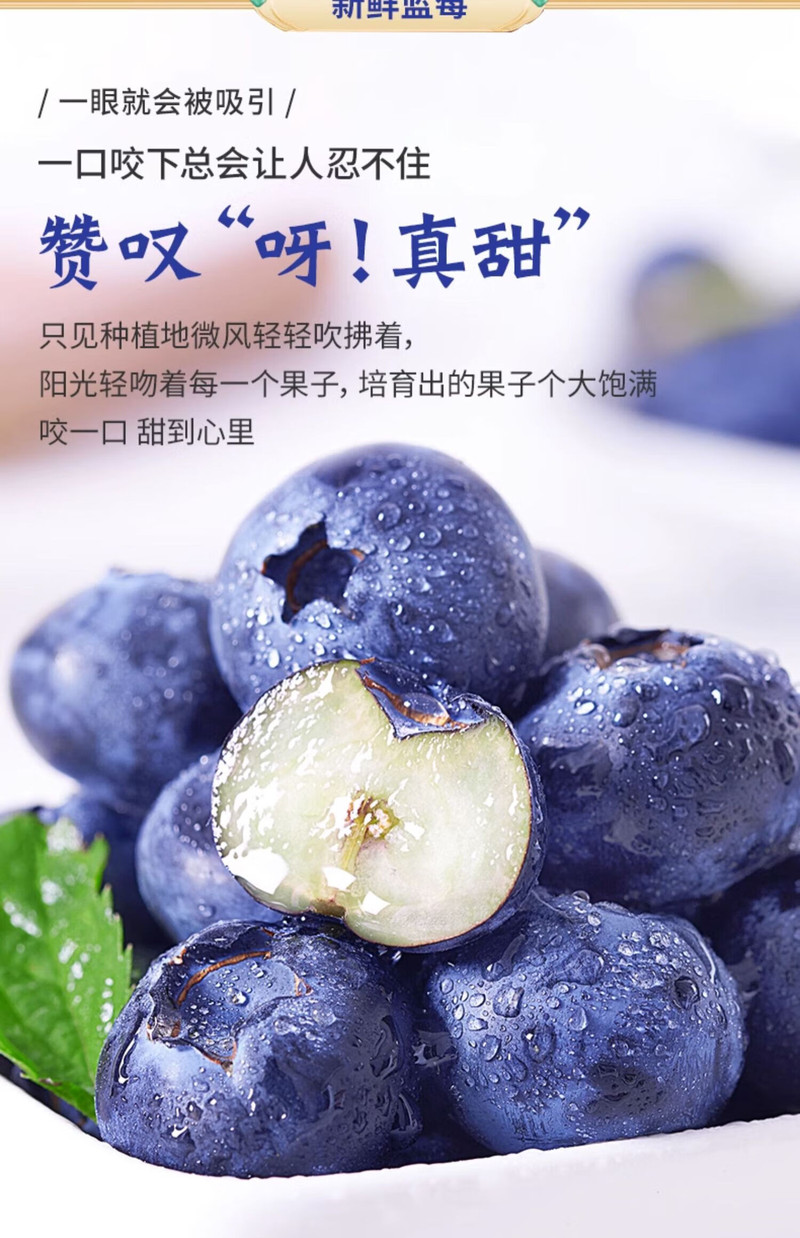  顺丰空运【4盒39.9元】 贵州高山蓝莓鲜果当季时令 邮乡甜