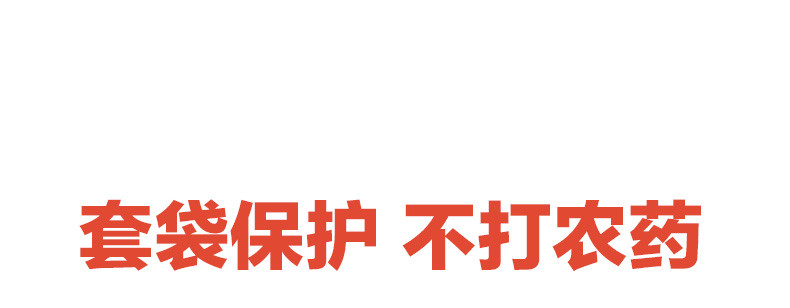  邮乡甜 【2024新果】 大凉山盐源丑苹果脆甜当季新鲜水果