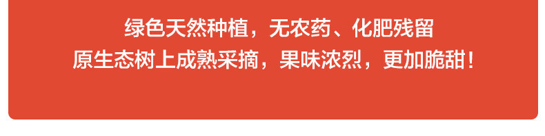  邮乡甜 【2024新果】 大凉山盐源丑苹果脆甜当季新鲜水果