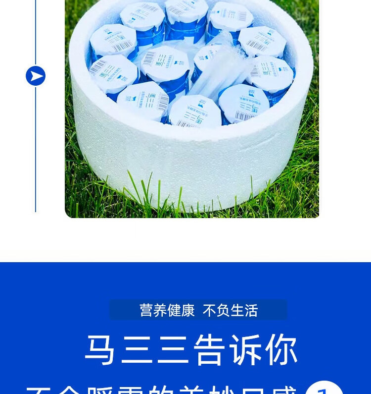 马三三 新疆原味老酸奶风味牛奶发酵乳180gx12瓶 乳酸菌