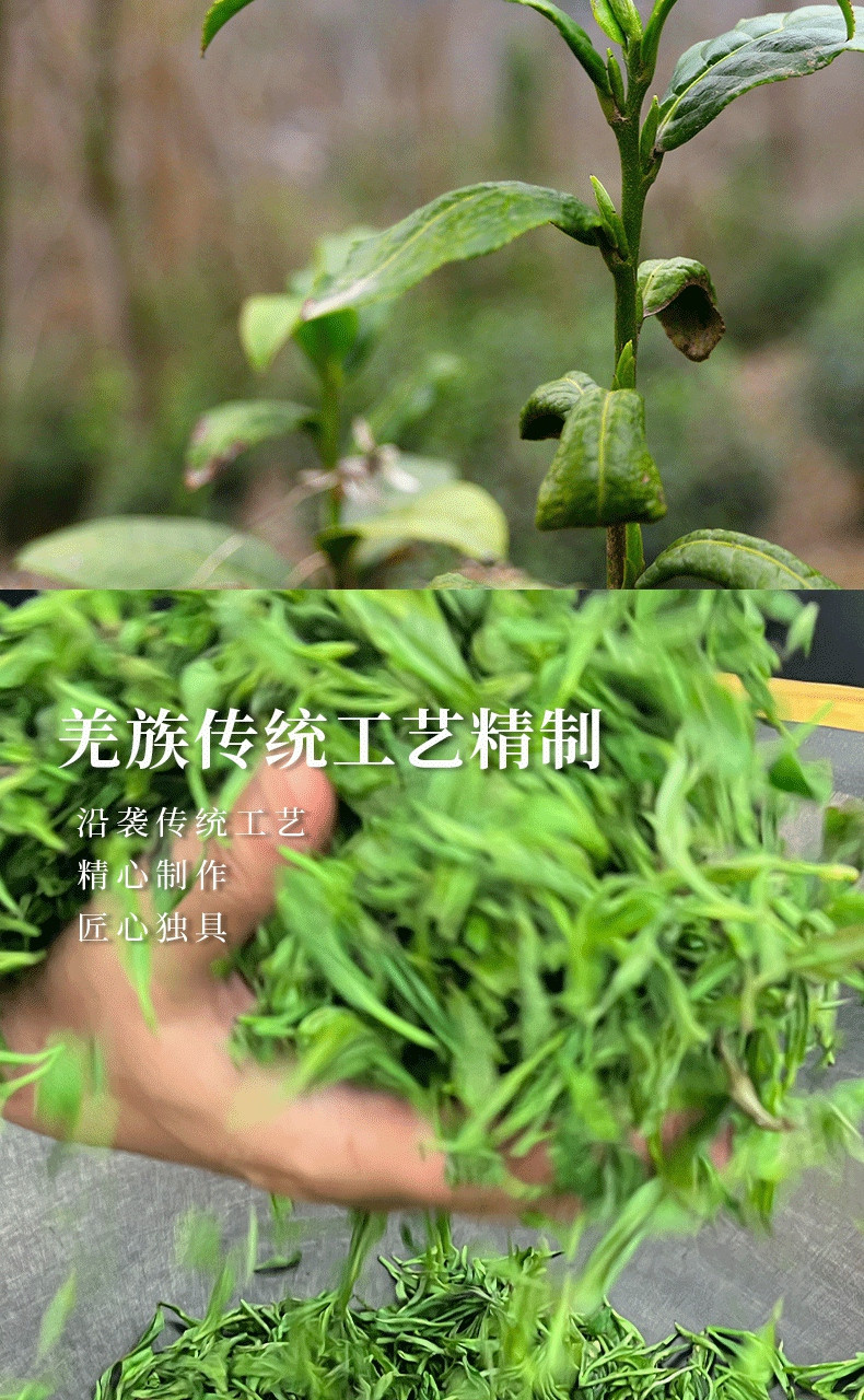 云朵上的茶 【会员享实惠】北川炒青绿茶