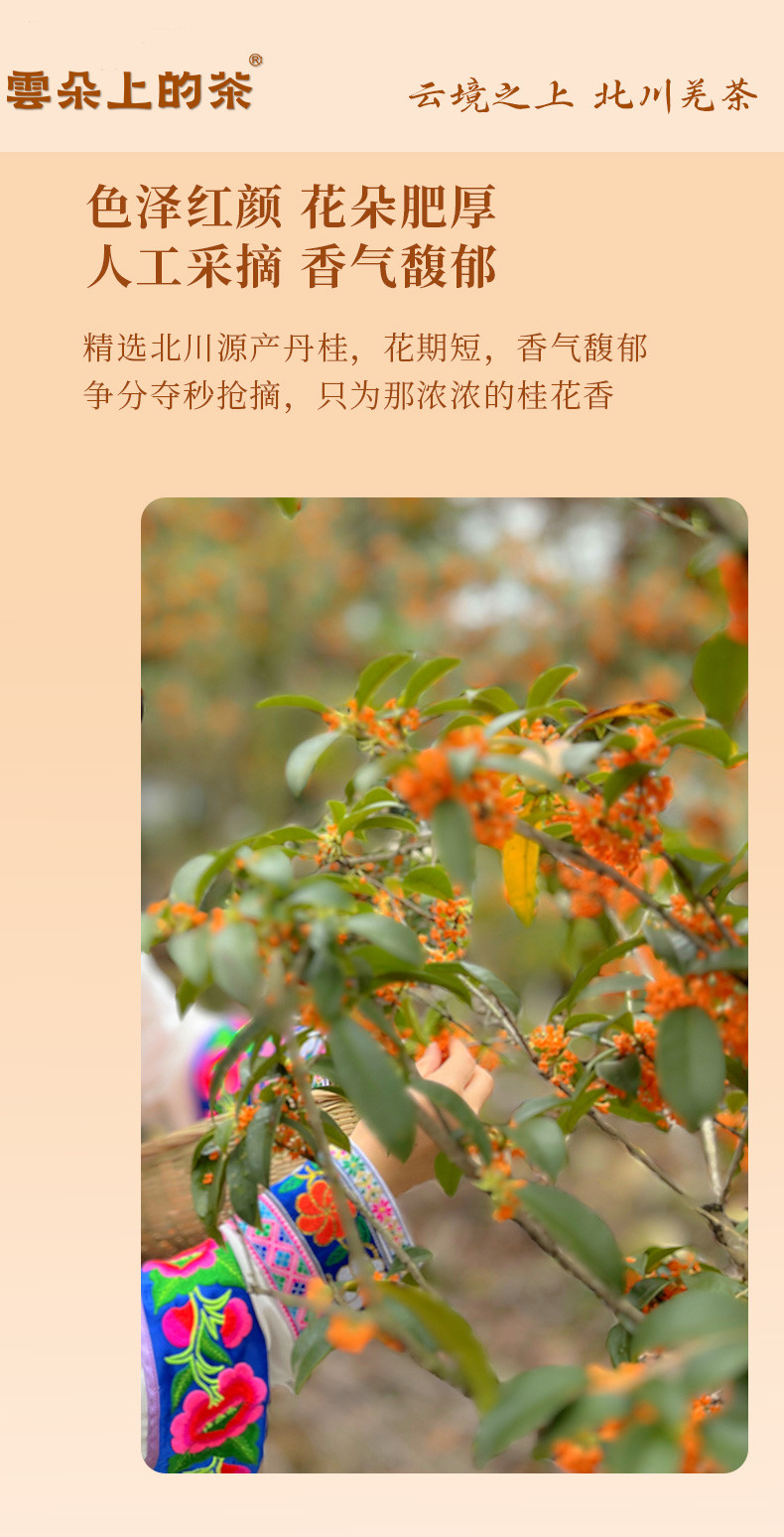 云朵上的茶 【会员享实惠】桂花红茶60克