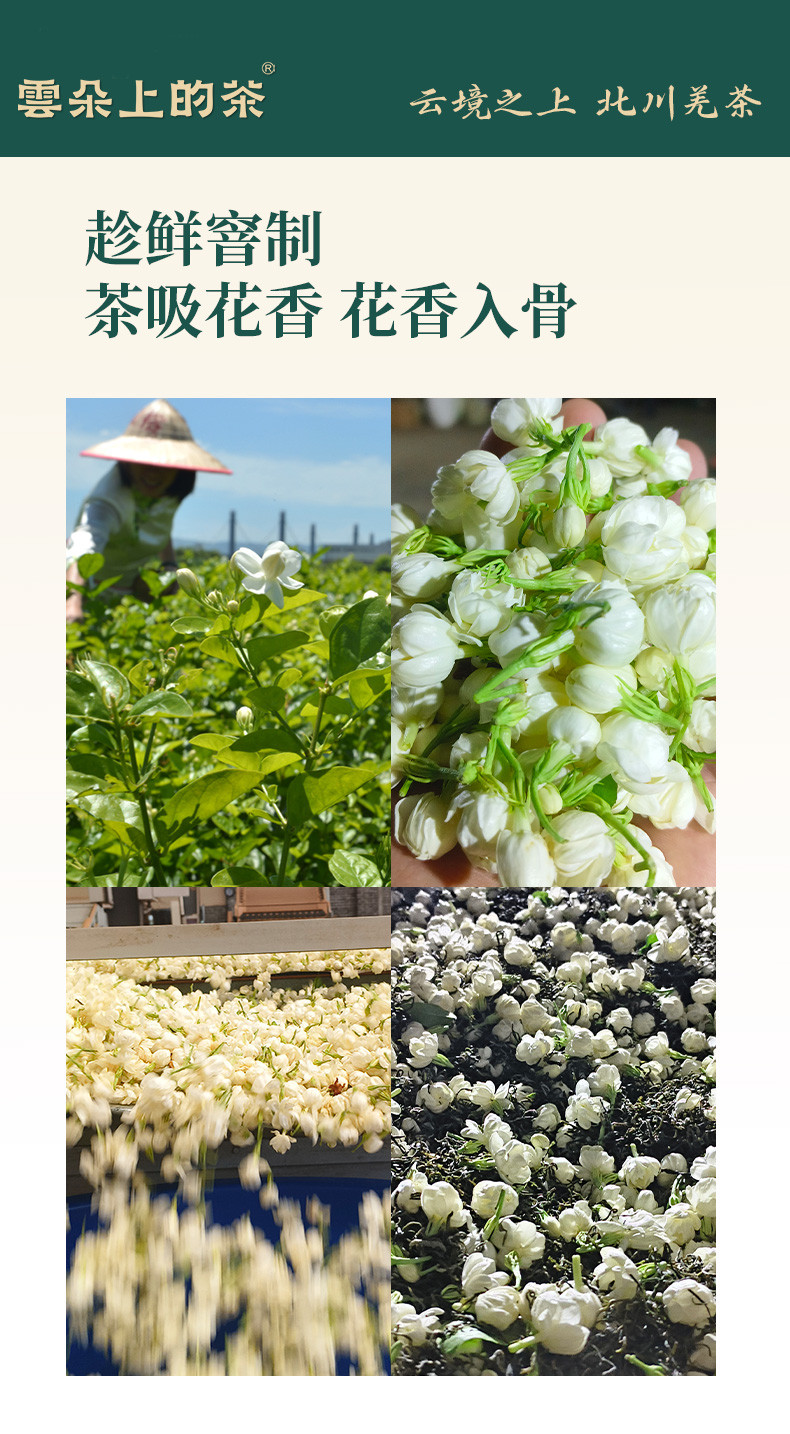 云朵上的茶 【会员享实惠】北川窨制茉莉花茶毛峰150克袋装