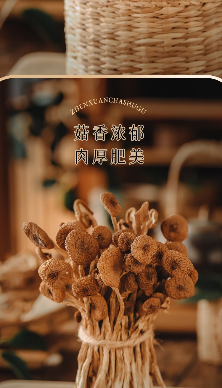 永福元 茶树菇200g