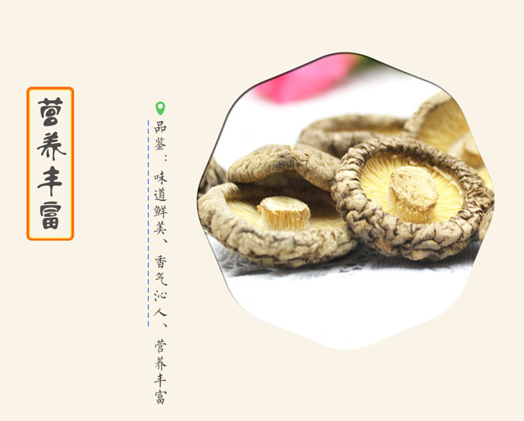 永福元 金钱菇250g