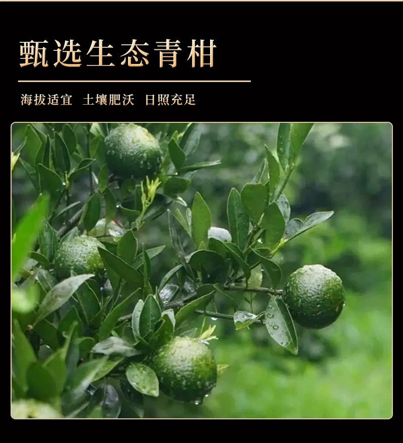 小青柑普洱茶柑普茶新会茶叶熟普罐装礼盒装礼品伴手礼500g