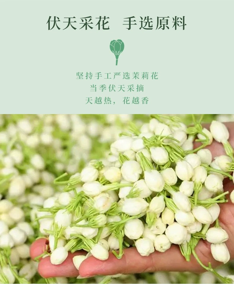 新茶茉莉花茶叶绿茶浓香型罐装正宗罐装250g