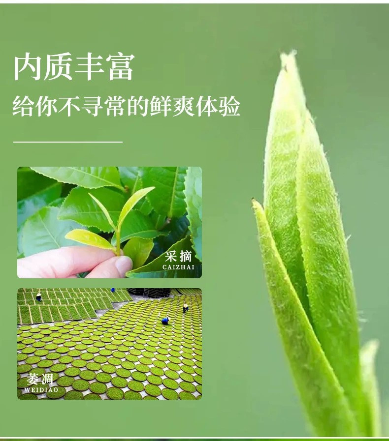 福鼎白茶白牡丹小方片压片饼干茶高档茶叶礼盒装节日送礼茶叶