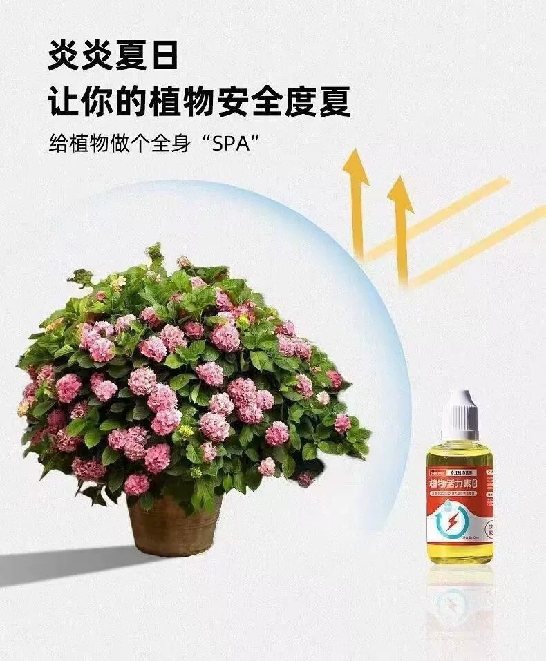 植物活力素养花通用型家用快速变活生根剂壮苗发根浓缩植物营养液3瓶