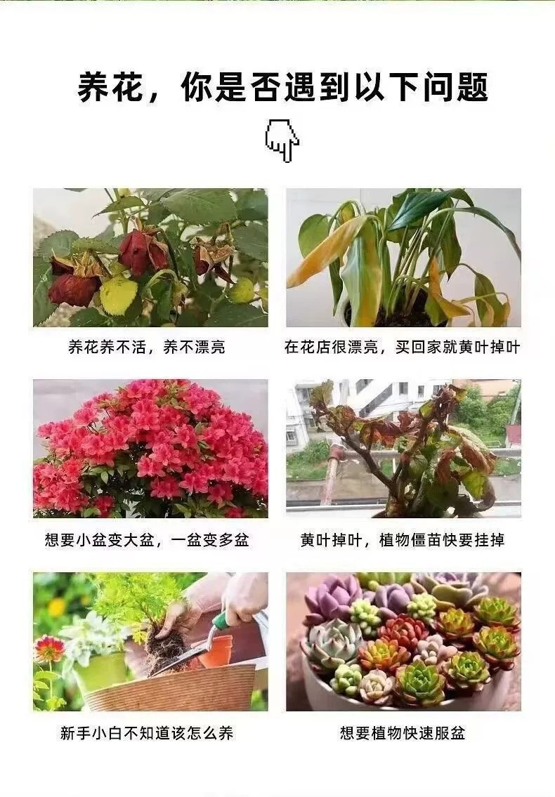 植物活力素养花通用型家用快速变活生根剂壮苗发根浓缩植物营养液3瓶