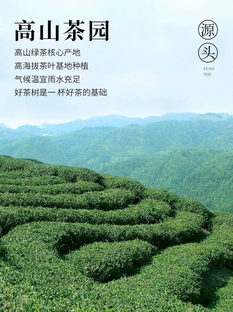 茉莉花茶罐装绿茶花茶组合大铁桶大份量1000g飘雪茶叶礼盒装