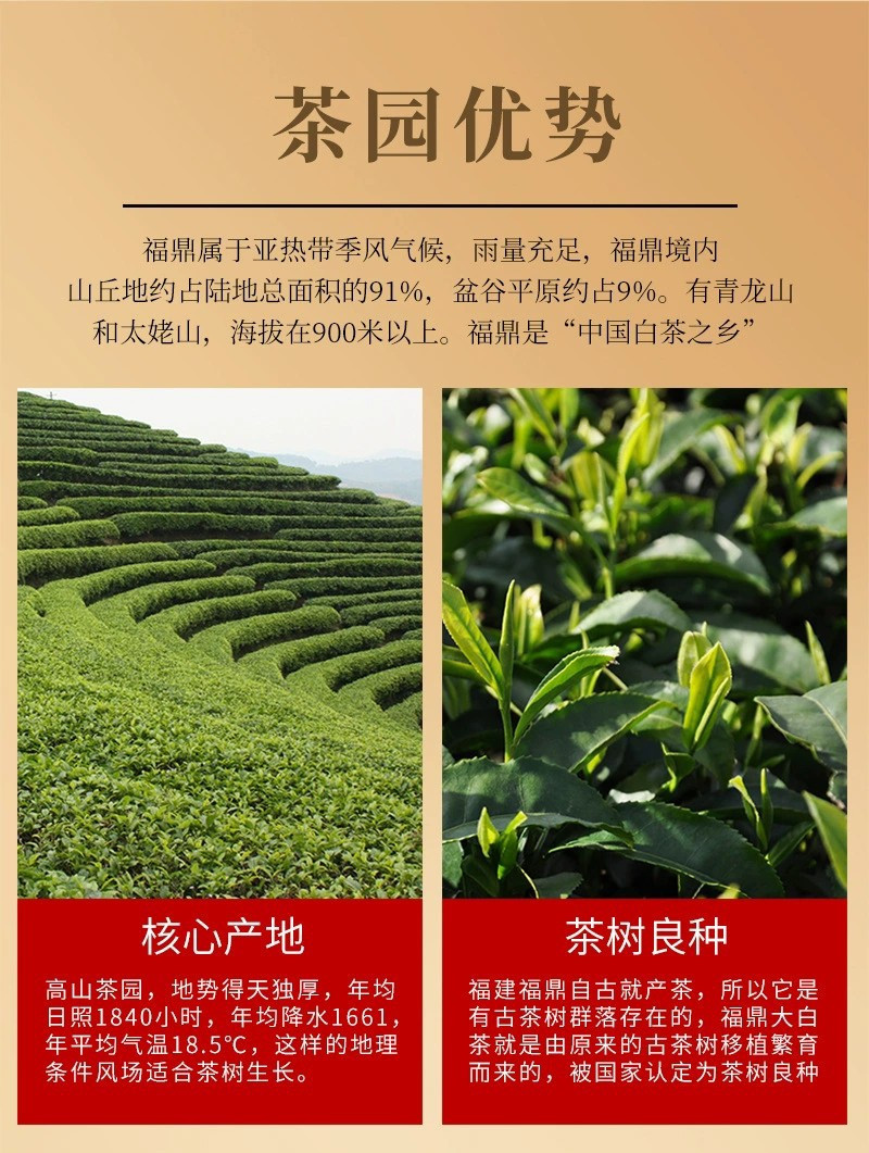 2016年陈皮白茶寿眉小茶饼新会陈皮茶福鼎老白茶饼小方片茶叶36片