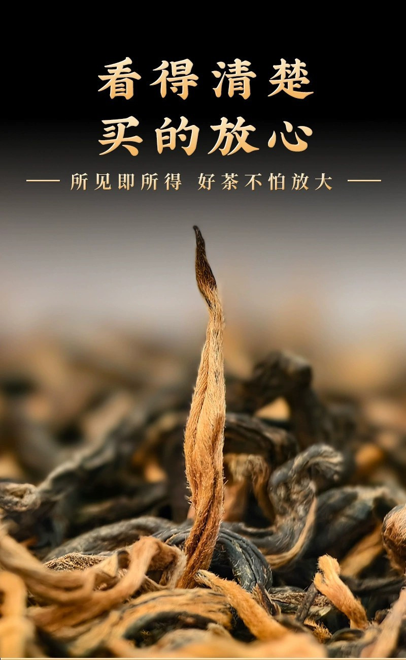 云南凤庆滇红古树红茶2024新茶高档老树红茶茶叶250g