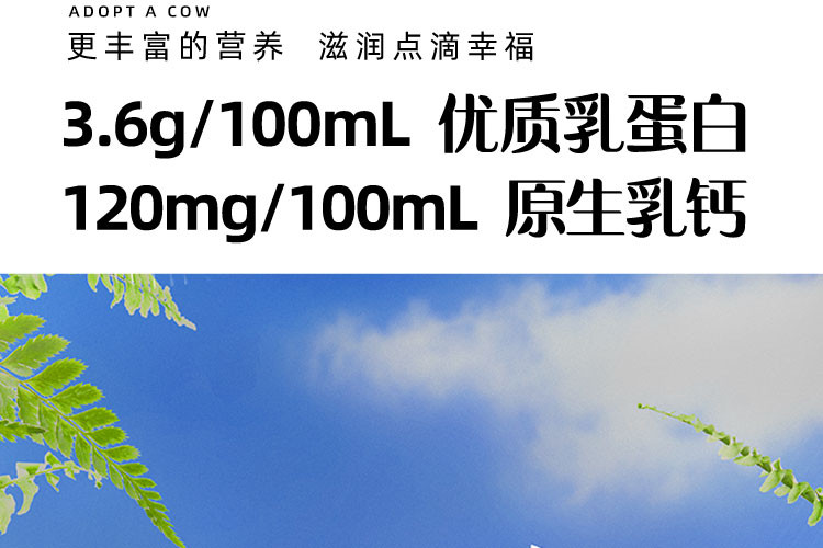 认养一头牛 3.6g蛋白纯奶250ml利乐砖12入一提装