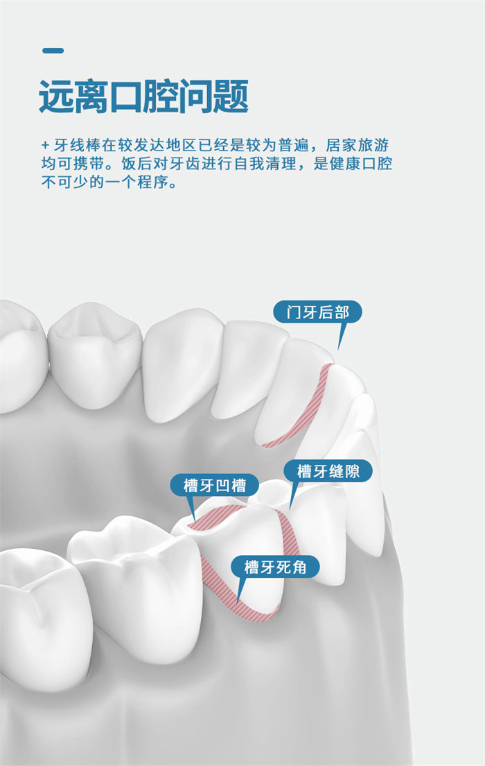 GRAREY 薄荷多效护理牙线棒3袋+便携式自动牙线盒1盒 超级组合