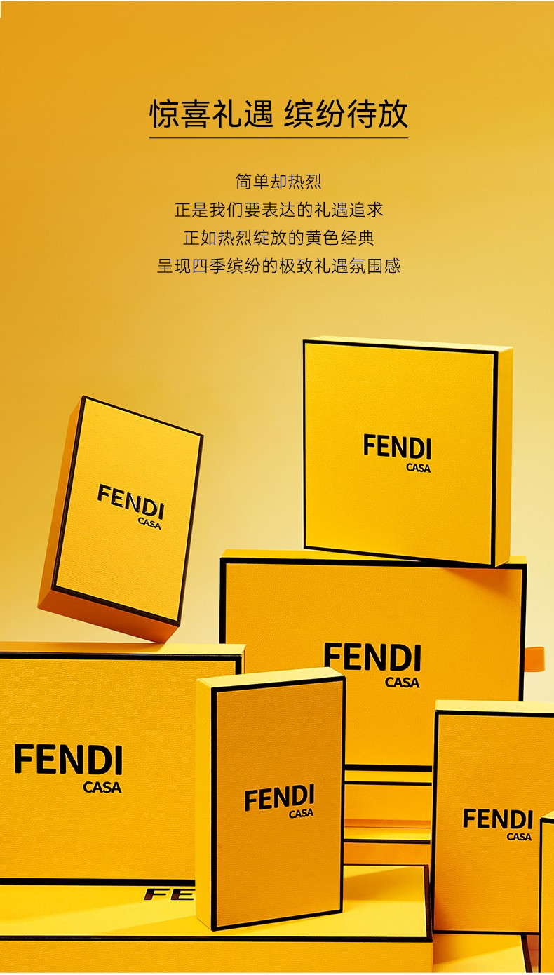 芬迪卡萨 FENDICASA巧克力精装版60g 六粒装