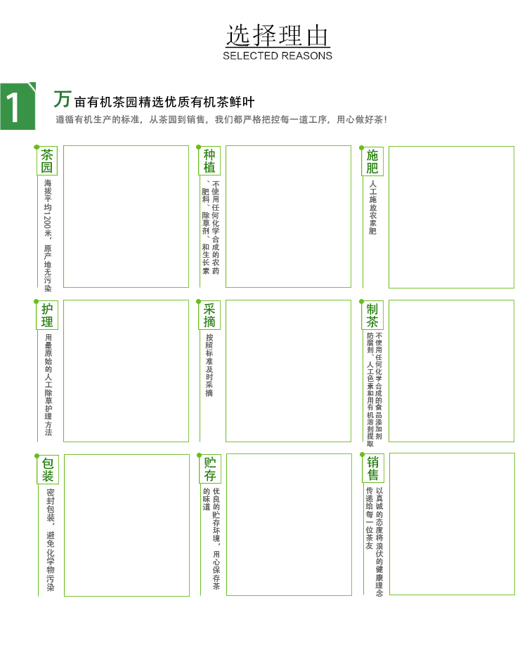 邮政农品 2024年英山云雾茶50克罐装