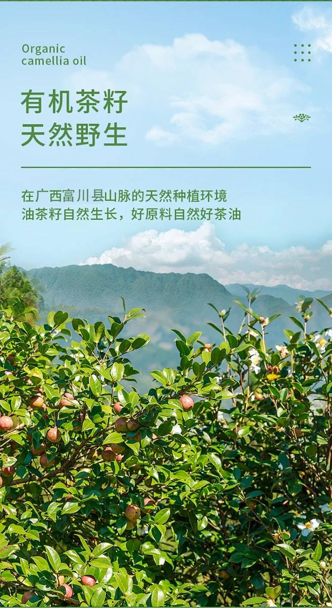 邮政农品 【富川邮政】长寿之瑶乡正宗纯天然山茶油