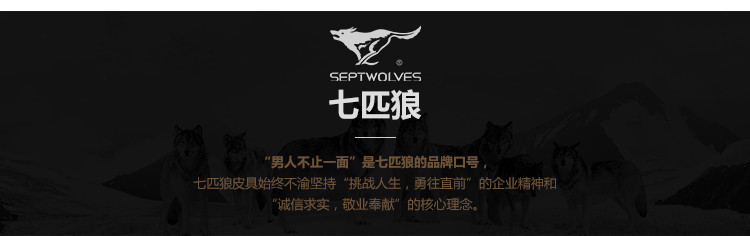 七匹狼（SEPTWOLVES） 手包XY08660907（黑色）