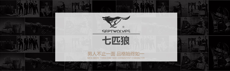 七匹狼（SEPTWOLVES） 手包XY08660907（黑色）