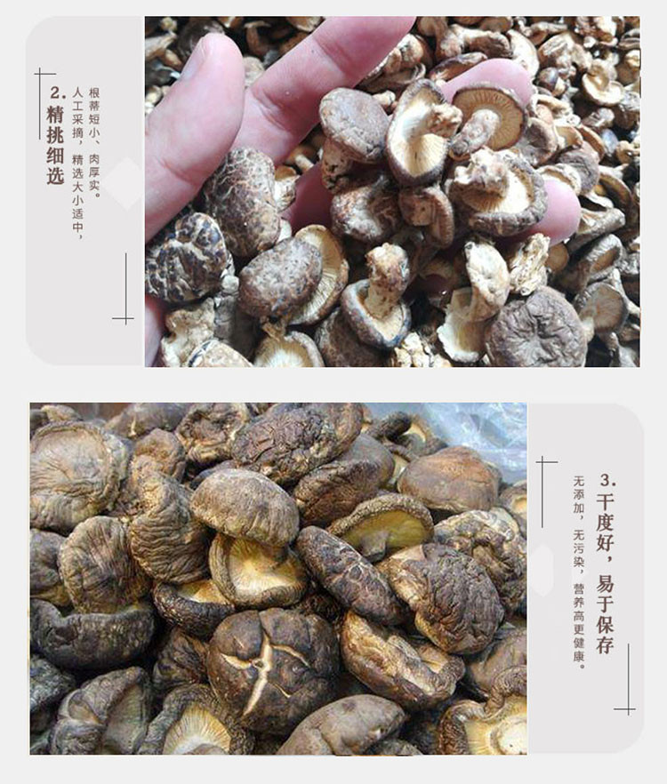 邮政农品 香菇农家菌菇土特产家用香菇干货250g袋装