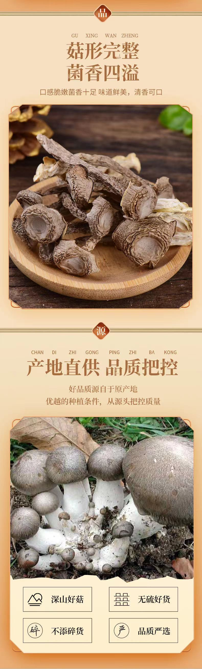 邮政农品 侗家礼鹿茸菇干货新鲜100g罐装