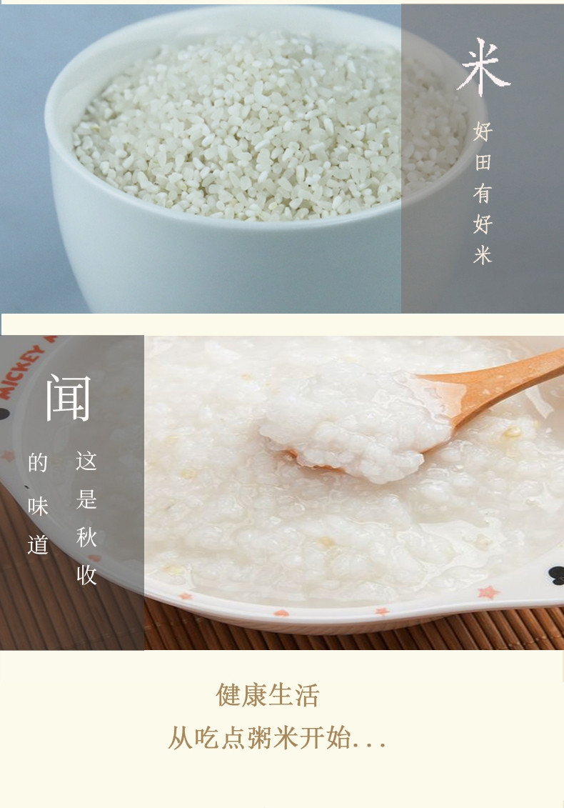邮政农品 三江高山鱼稻生态粥米300g香米