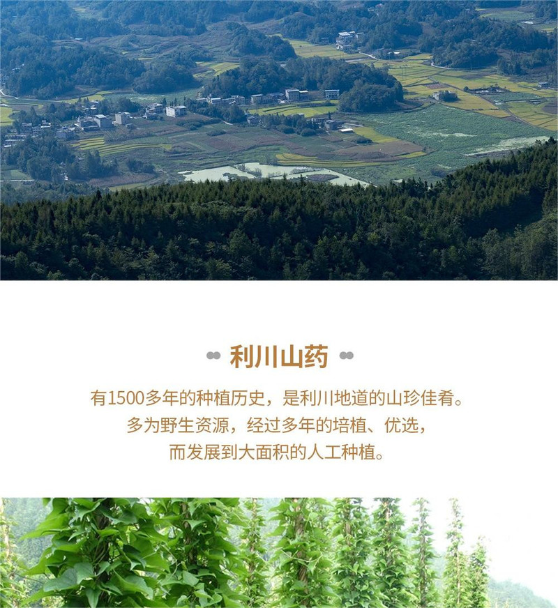 粮田拾趣 山药 片 500g/袋