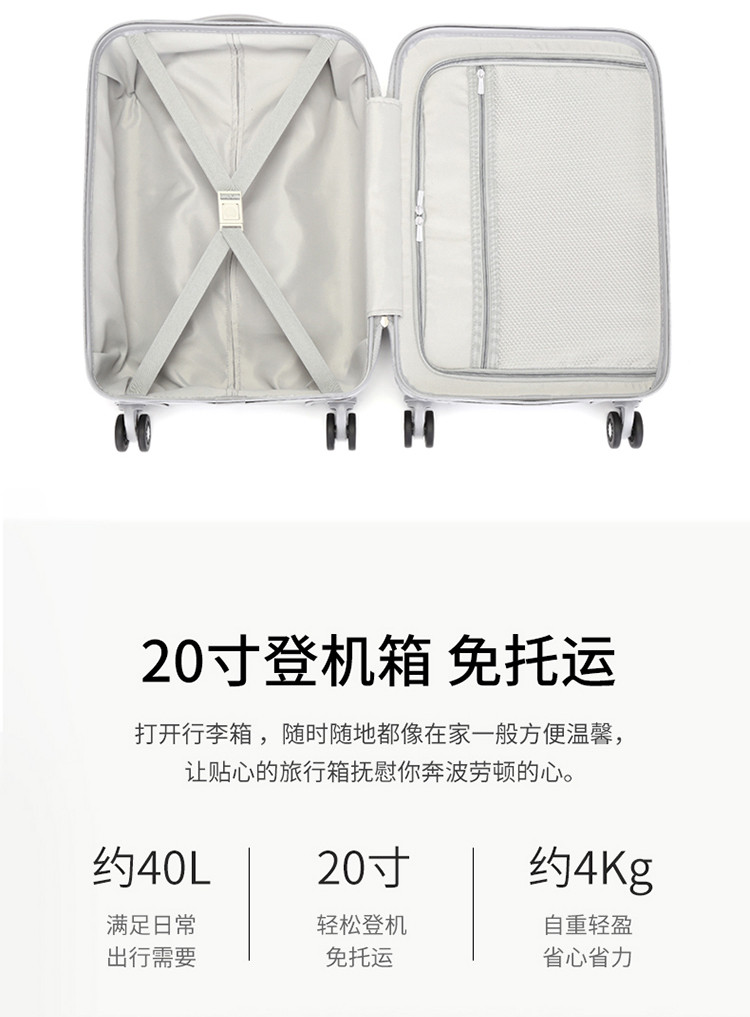 DELSEY 戴乐世双轮式四轮拉杆箱约20寸 银色00302080111