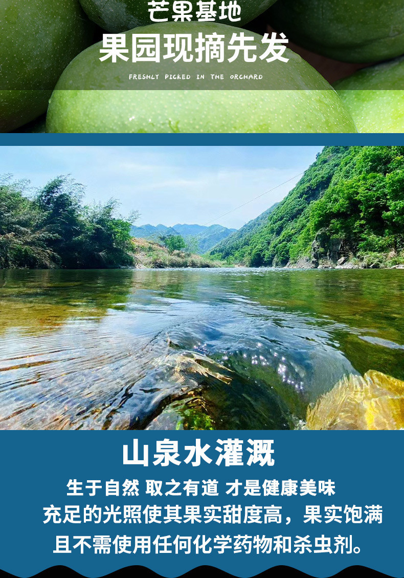 邮政农品 【农品尝鲜卡】攀枝花原产凯特芒果8-9枚*2件